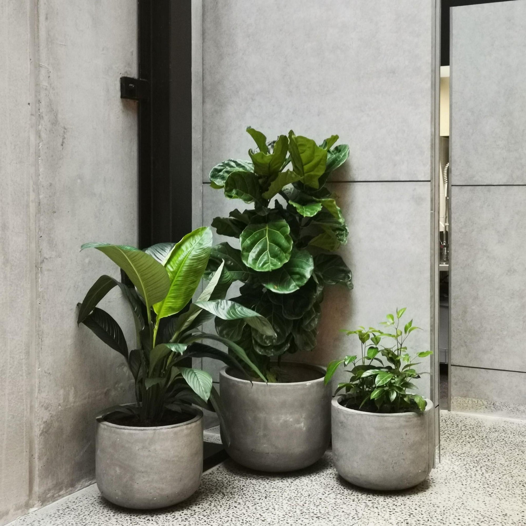 Gardeners Planter - Cement Grey - THE PLANT SOCIETY