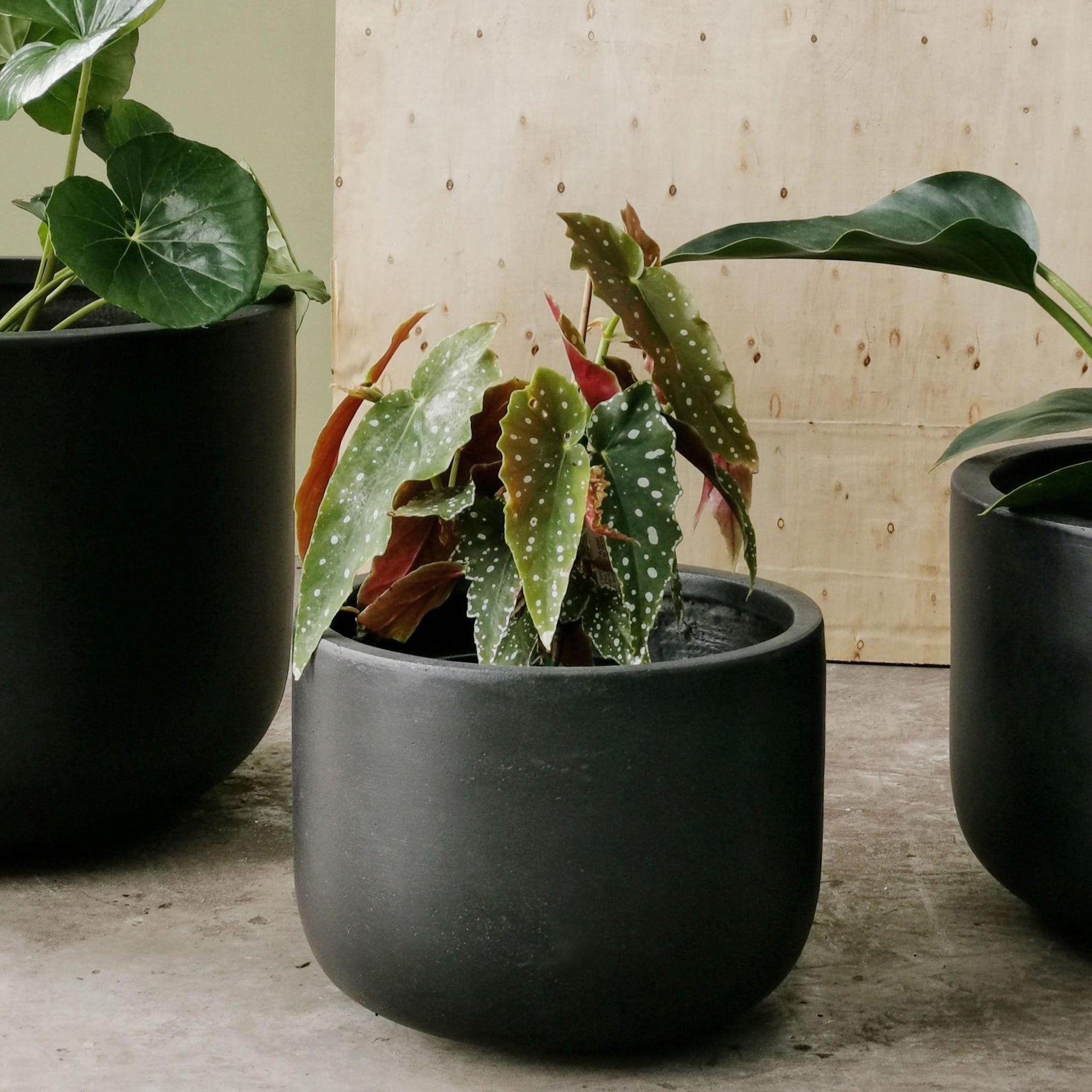 Gardeners Planter - Charcoal - THE PLANT SOCIETY