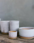 Misty Morning Planter by Leaf & Thread - THE PLANT SOCIETY