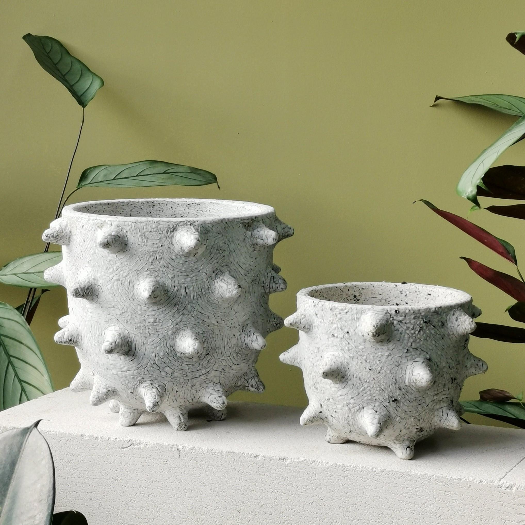spiky plant pot Extra Large Spike Planter by Buzzby & Fang – THE PLANT SOCIETY