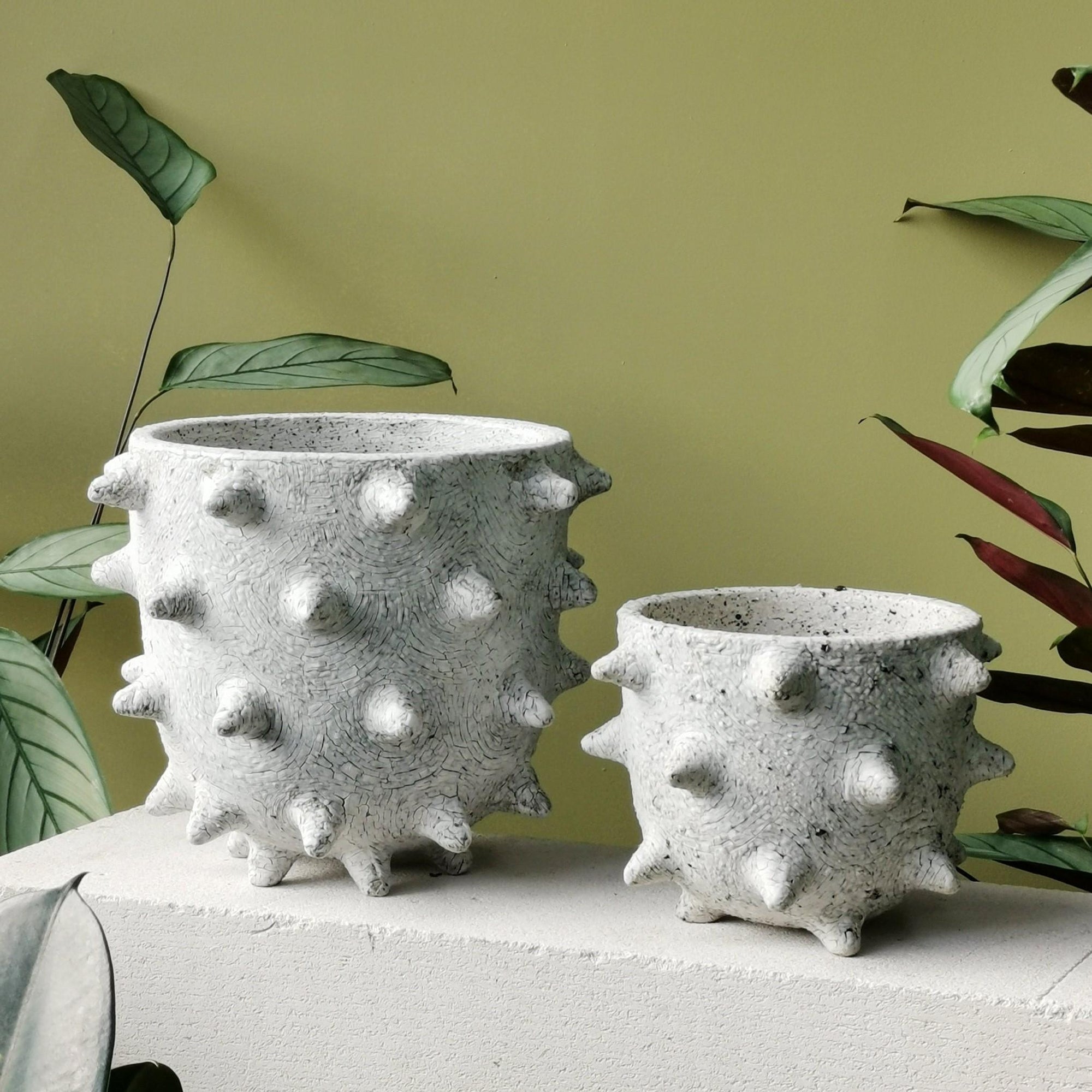 Extra Large Spike Planter by Buzzby & Fang - THE PLANT SOCIETY
