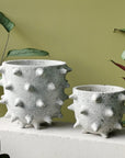 Extra Large Spike Planter by Buzzby & Fang - THE PLANT SOCIETY