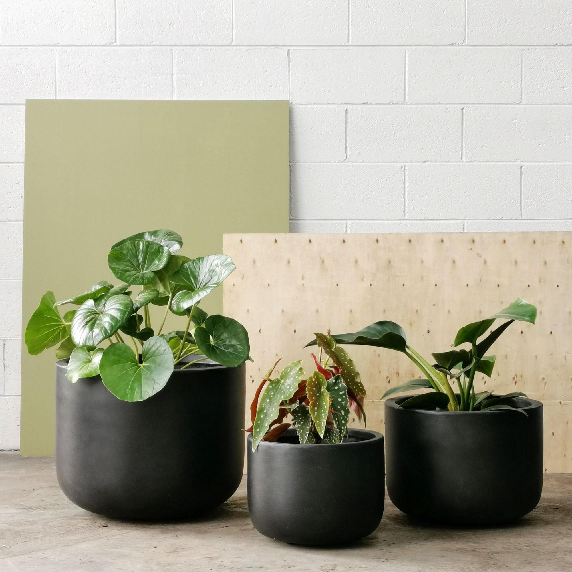 Gardeners Planter - Charcoal - THE PLANT SOCIETY