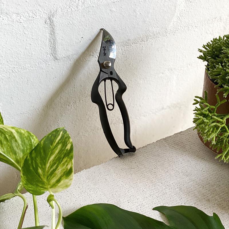 The Plant Society x Toyama Hamono Secateurs - THE PLANT SOCIETY