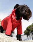 Sarah Dog Raincoat in Plain Adrenalin Red by The Painter's Wife - THE PLANT SOCIETY