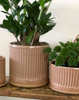 Russet Fluted Planter by Arcadia Scott