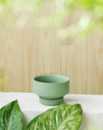 Olive Green Collectors Gro Pot by Angus & Celeste - THE PLANT SOCIETY