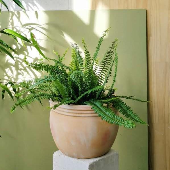 Torino Planter - THE PLANT SOCIETY