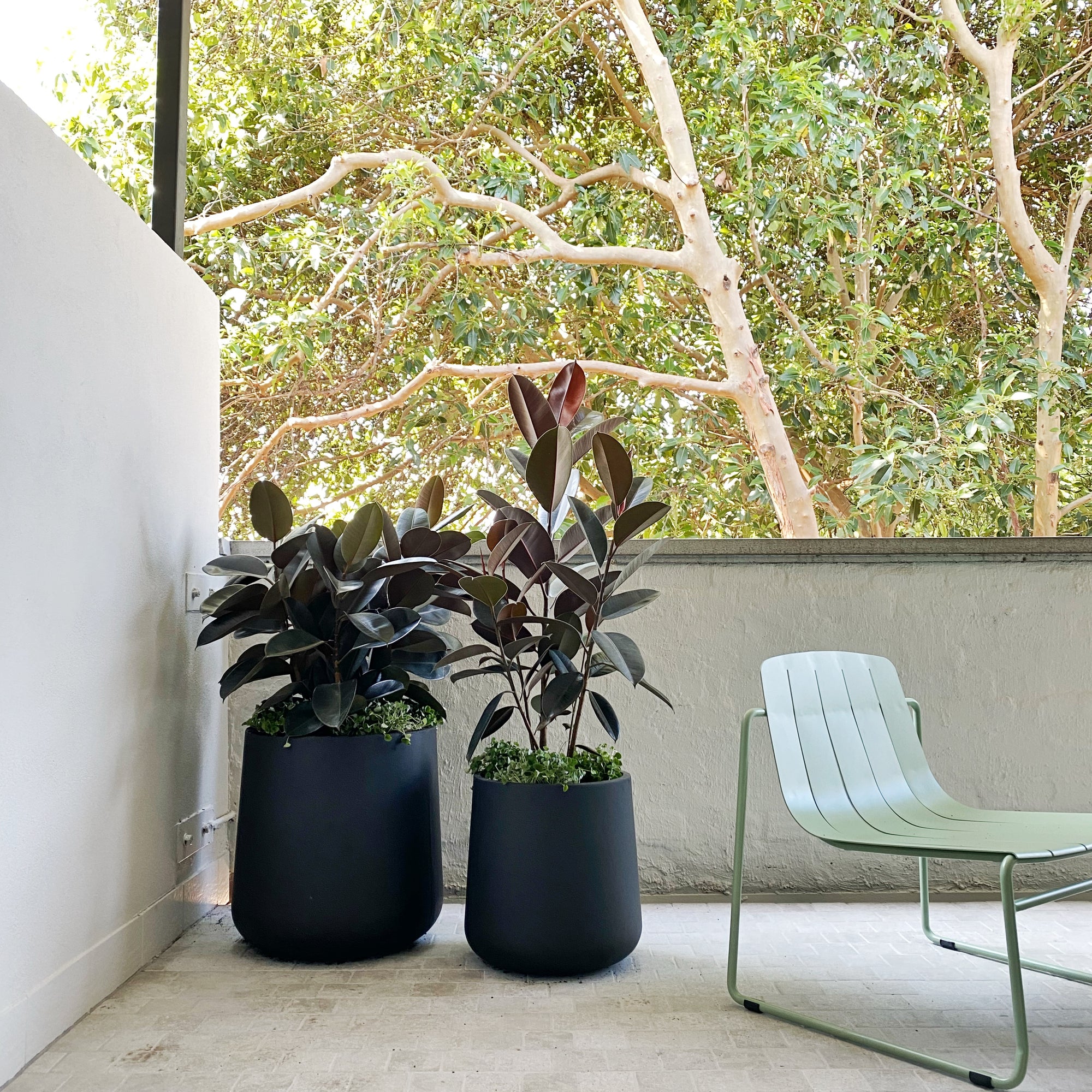 Curved Tapered Planter in Charcoal
