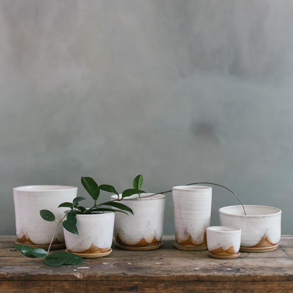 Glacier Planter by Leaf & Thread - THE PLANT SOCIETY