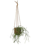 Hanging Planter Ochre by Lightly Design