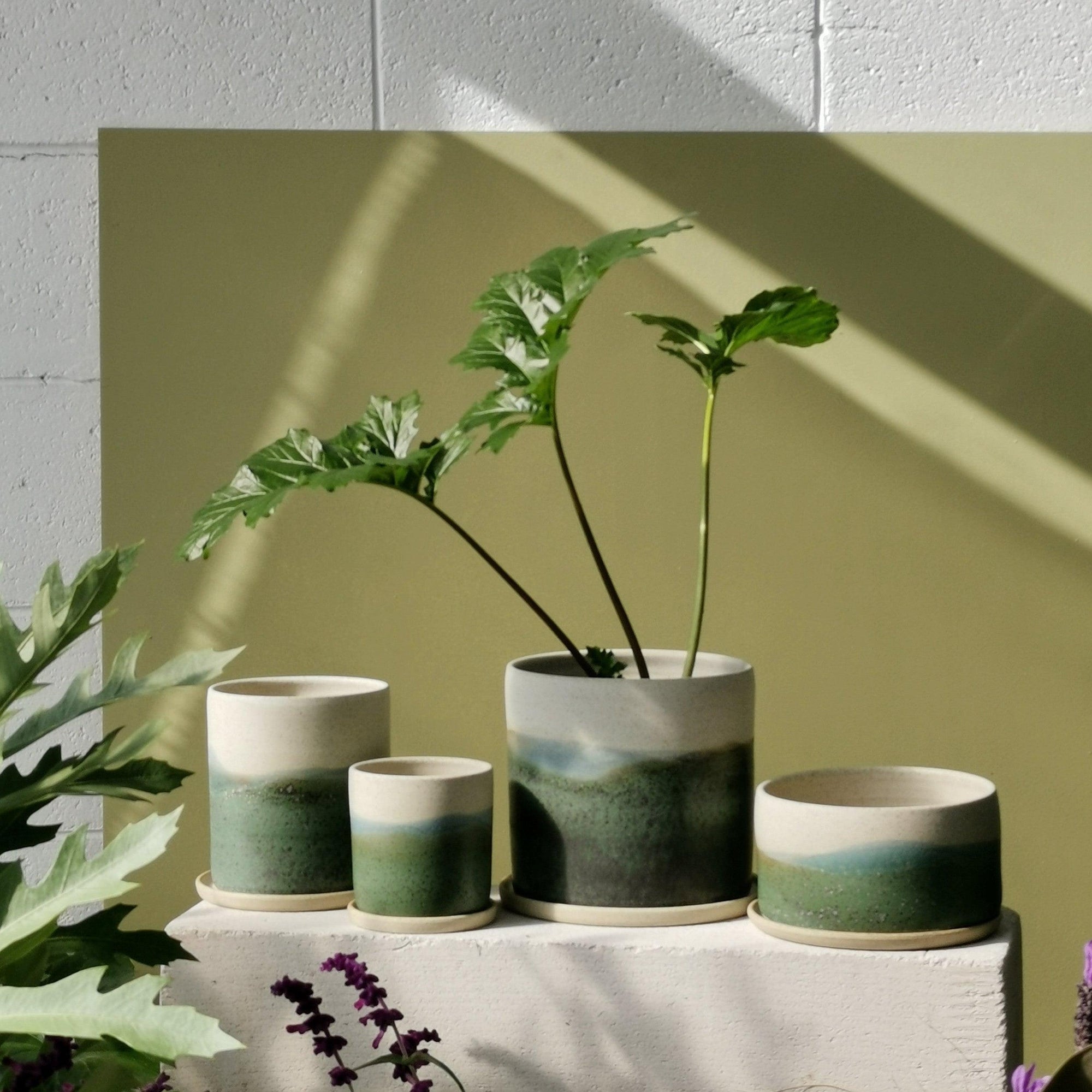 OUT OF THE KILN | Aurora Borealis Planters by Arcadia Scott - THE PLANT SOCIETY