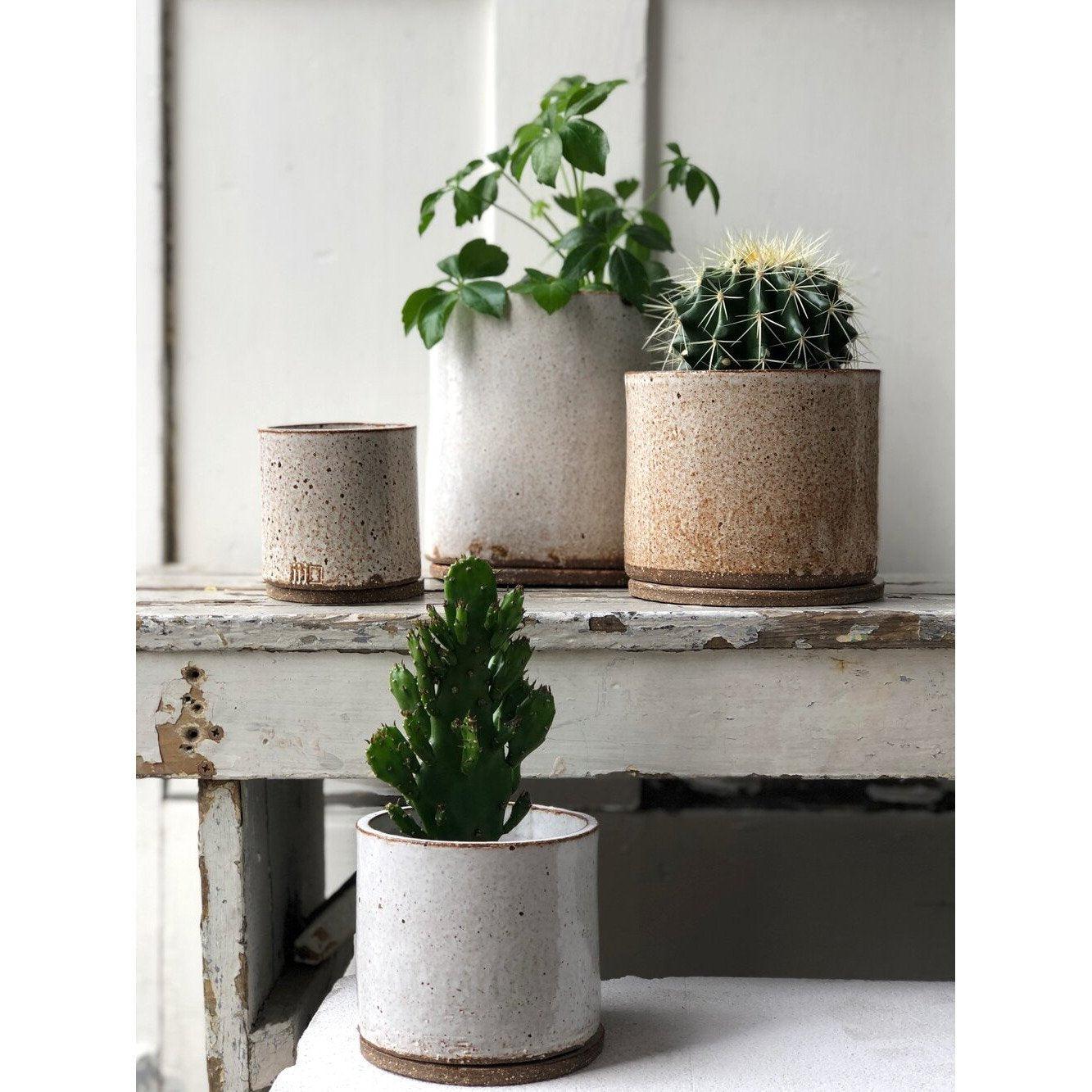 New Arrivals | Handmade ceramics by Jenn Johnston - THE PLANT SOCIETY