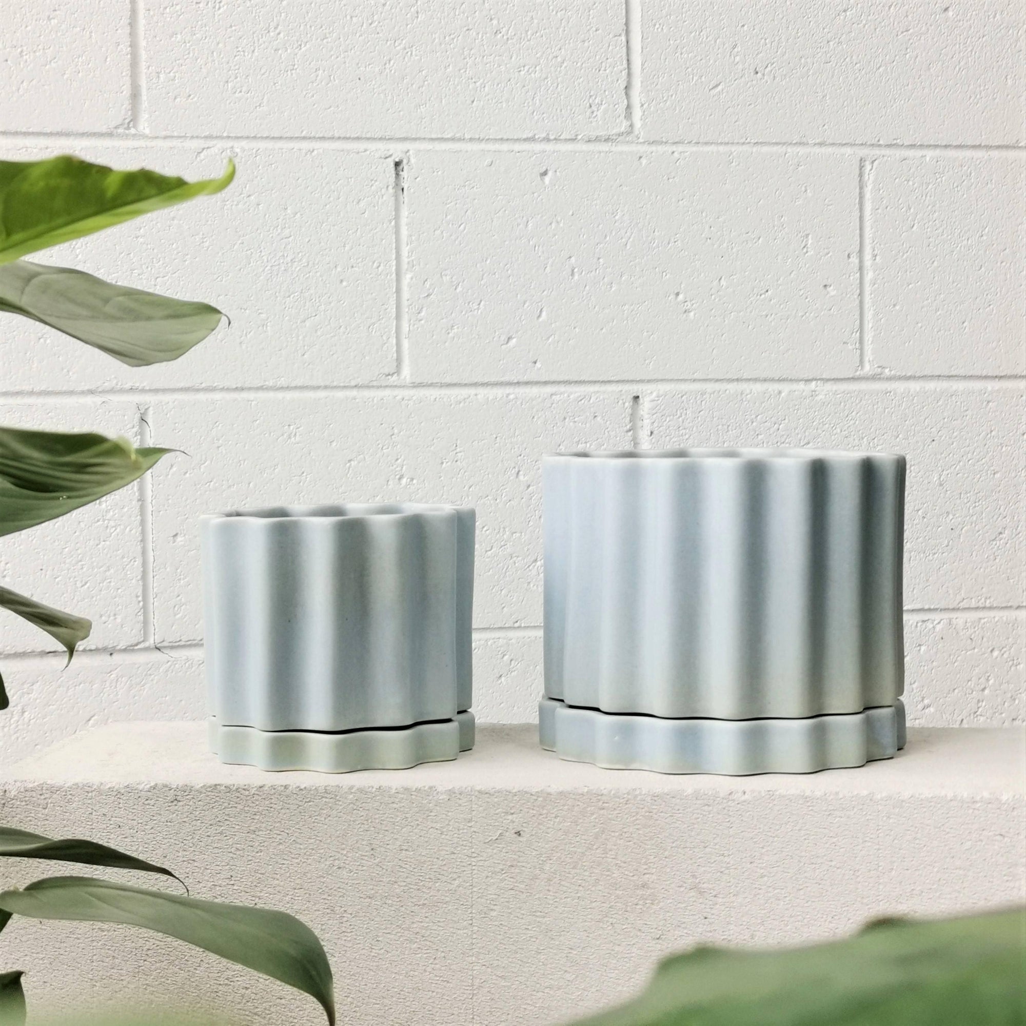 AMAZING GLAZE | New Southern Sky Planter by Ella Reweti - THE PLANT SOCIETY