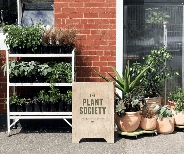 REOPENING OUR COLLINGWOOD STORE - THE PLANT SOCIETY
