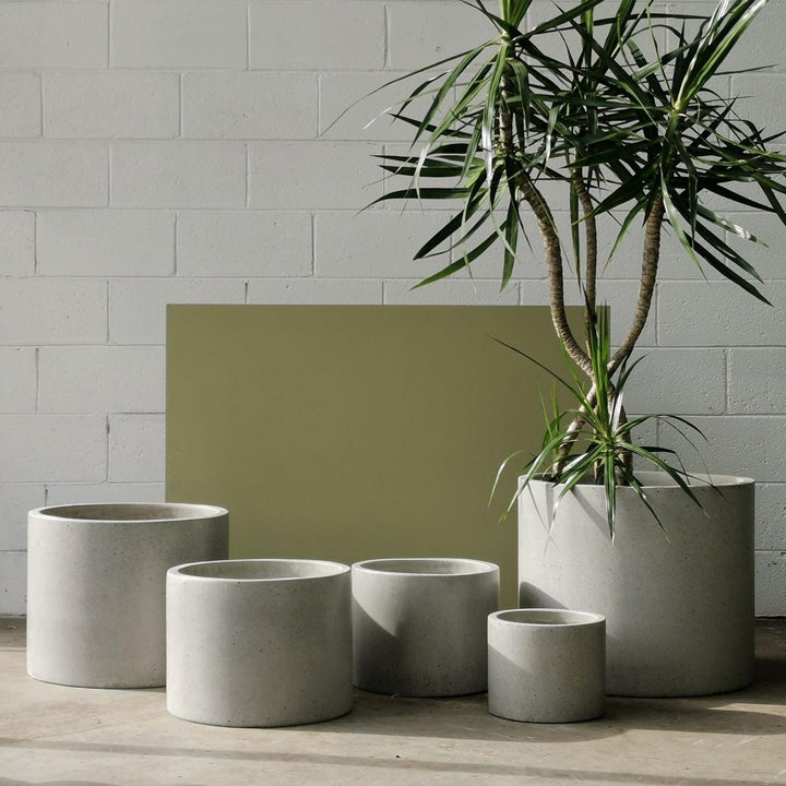 GREAT OUTDOORS | New Poolside & Patio Planters - THE PLANT SOCIETY