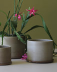 Oatmeal Minimalist Planter by Arcadia Scott