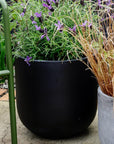 U-Planter - THE PLANT SOCIETY