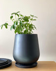 Tear Drop Planter in Charcoal