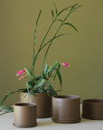 Chestnut Minimalist Planter by Arcadia Scott