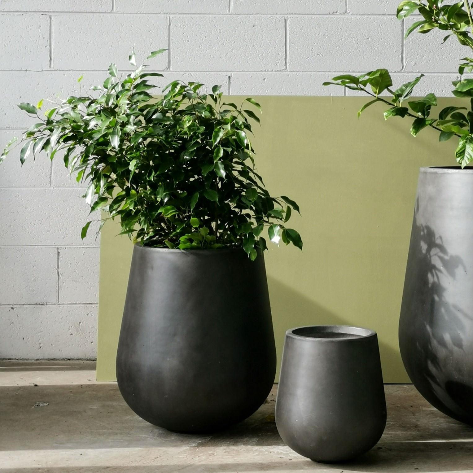 Tear Drop Planter in Charcoal | The Plant Society Melbourne - Home and ...