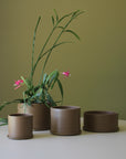 Chestnut Minimalist Planter by Arcadia Scott