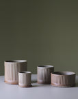 Oatmeal Fluted Planter by Arcadia Scott