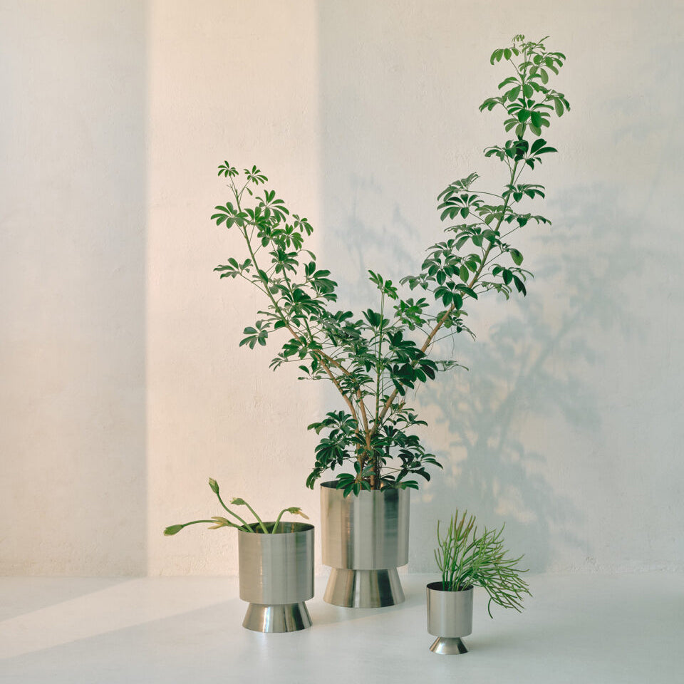 Large Palm Springs Planter by Lightly