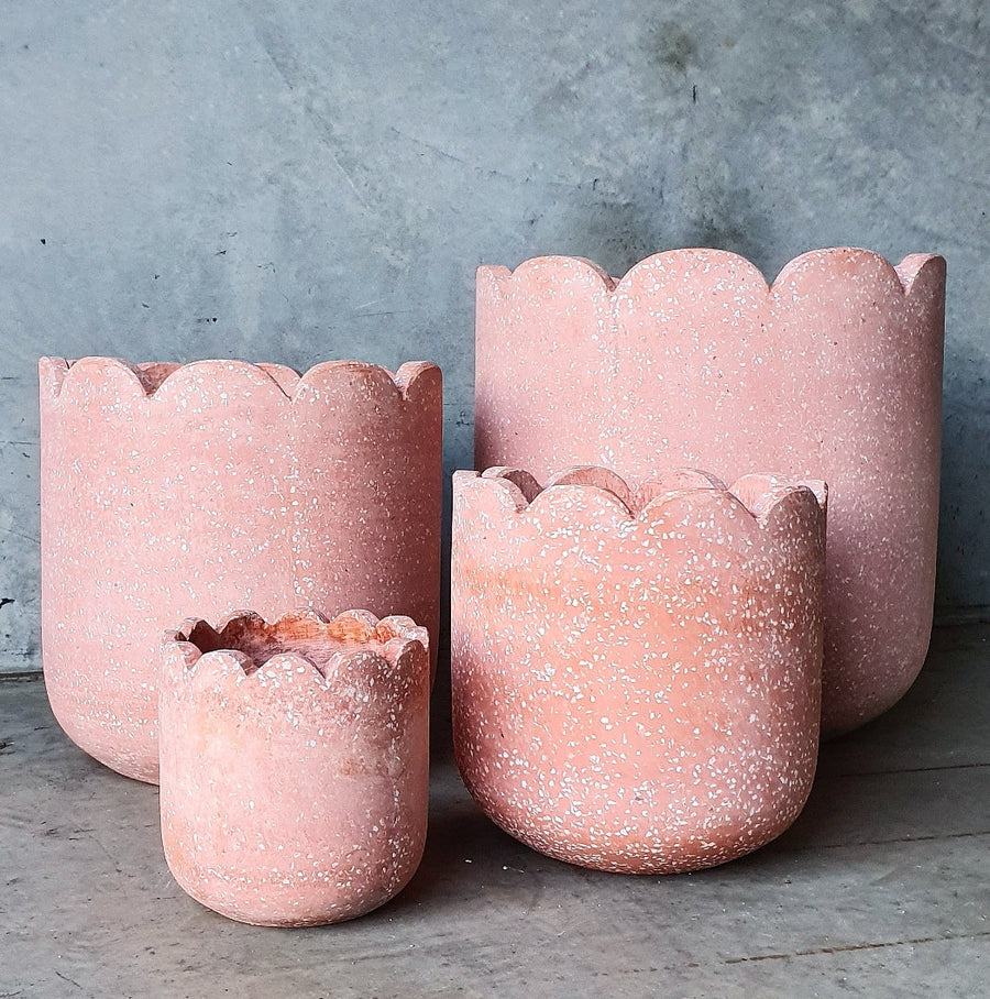 Clover Planter in peachy pink by Big Daisy