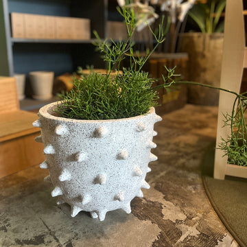 Devasa Spike Planter by Buzzby & Fang