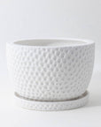 Embossed Plant Pot White by Angus & Celeste