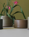 Chestnut Minimalist Planter by Arcadia Scott