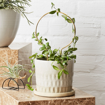 Circle Plant Stake by Ivy Muse