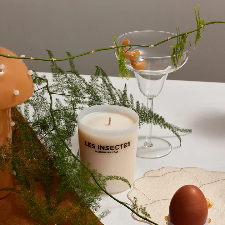 Les Insectes Candle by Maison Balzac
