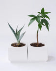 PAIR CUBIC Planter