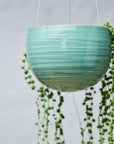 Spherical Hanging Planter by Angus & Celeste