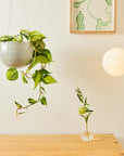 Spherical Hanging Planter by Angus & Celeste