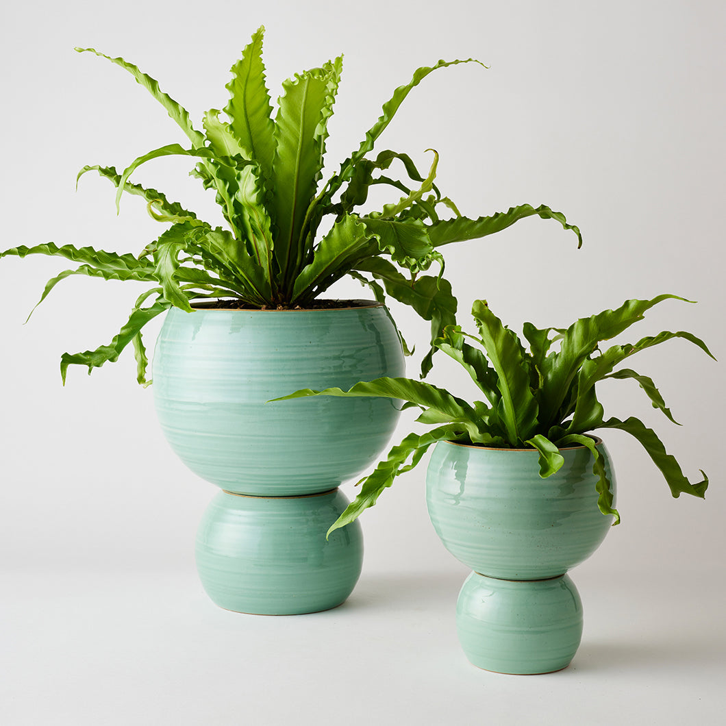 oriental plant pots australia Spherical Plant Pots by Angus & Celeste – THE PLANT SOCIETY