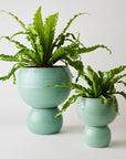 Spherical Plant Pots by Angus & Celeste