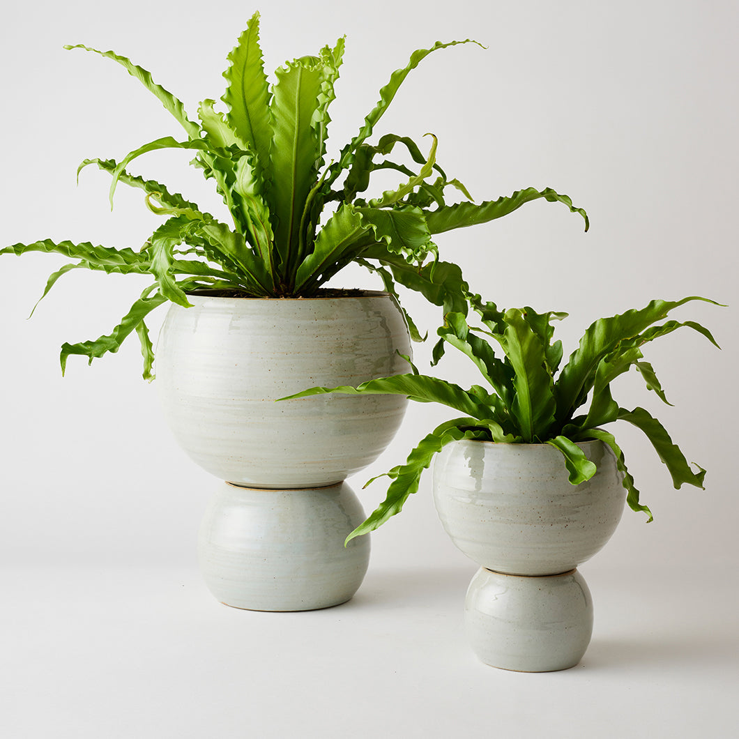 Spherical Plant Pots by Angus &amp; Celeste