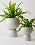 Spherical Plant Pots by Angus & Celeste