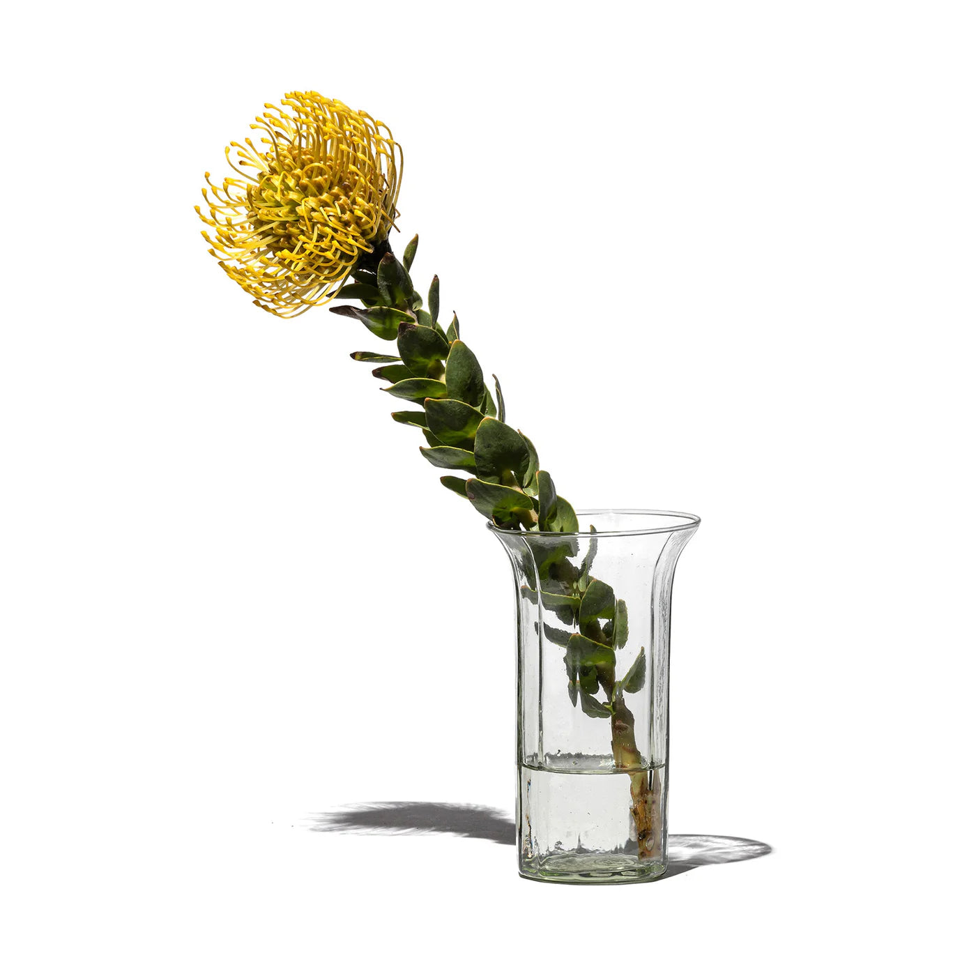 Recycled Useful Flower Vase by Puebco