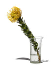 Recycled Useful Flower Vase by Puebco