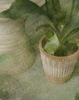 Atlas Planter by Bergs Potter