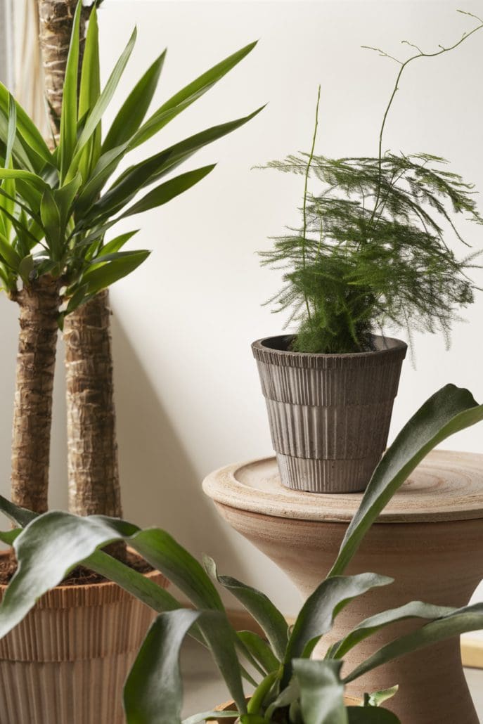 Atlas Planter by Bergs Potter