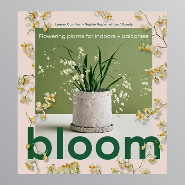 Bloom by Lauren Camilleri
