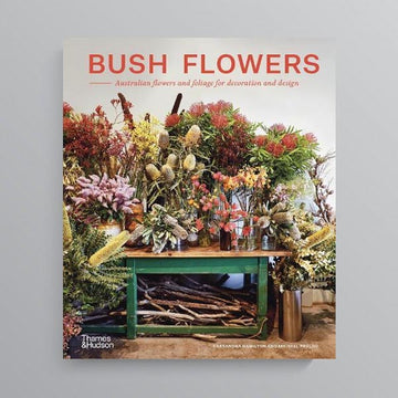 Bush Flowers by Cassandra Hamilton