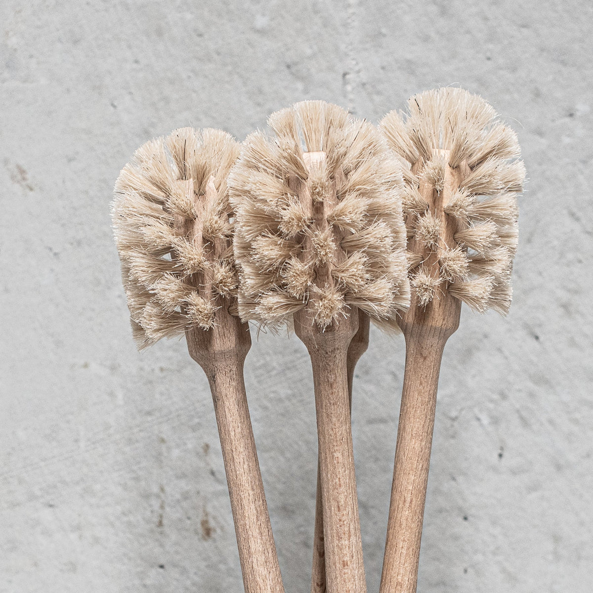 Bottle &amp; Cup Brush | Beechwood &amp; Fibre