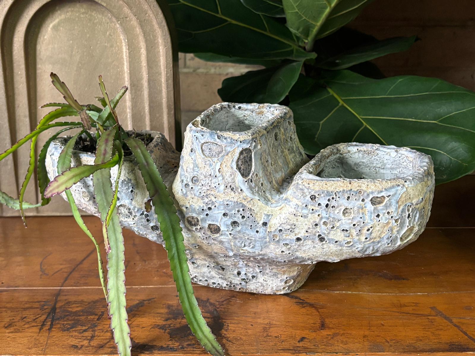 Dang Fango Planter on plinth by Buzzby & Fang – THE PLANT SOCIETY