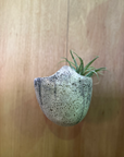 Mercury Hanging Planter by Buzzby & Fang